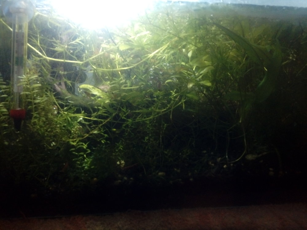 20170228_212206.jpg