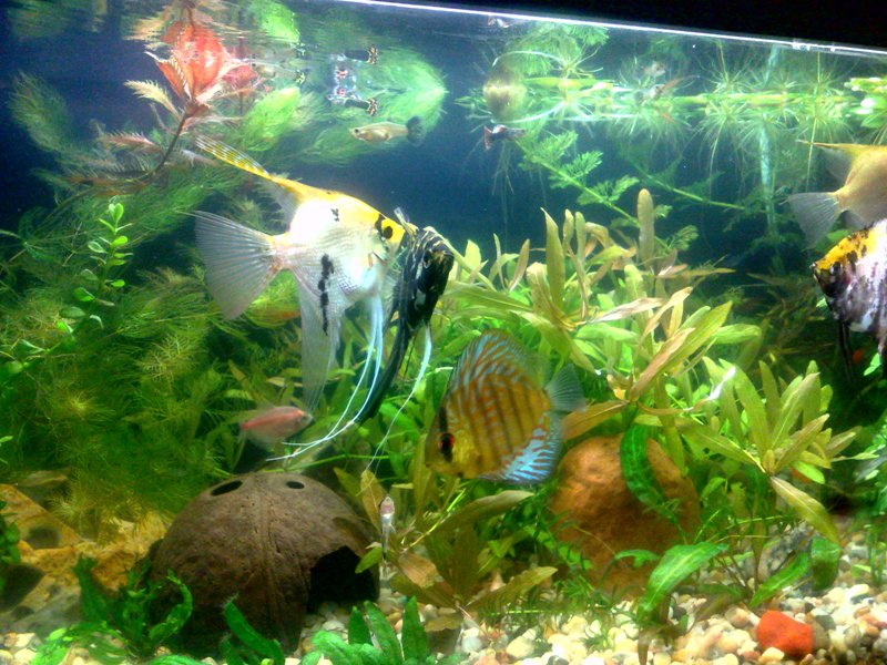 20130130553.jpg
