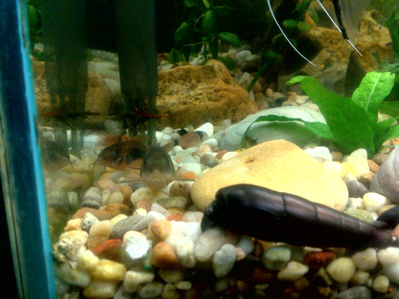 20130130554.jpg