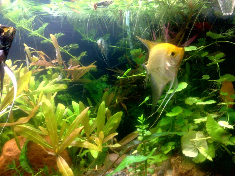 20130130559.jpg