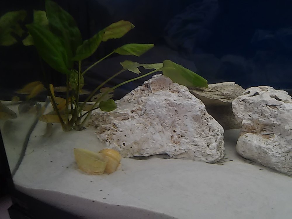 20170321_142656.jpg