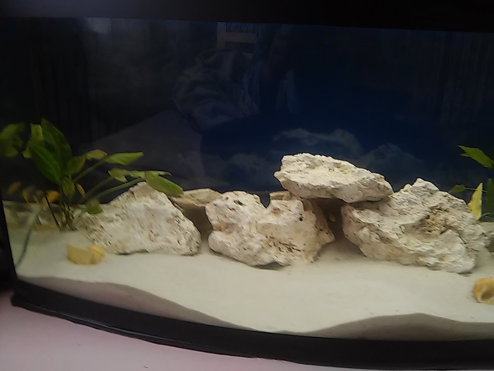 20170321_142721.jpg