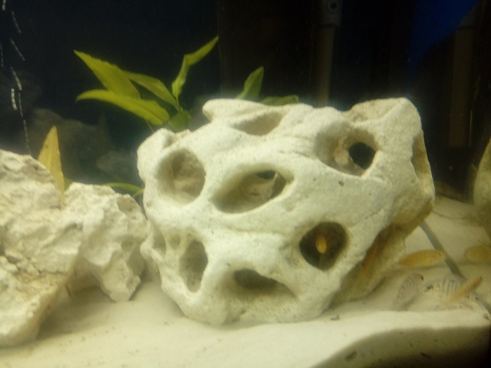 20170321_200253.jpg