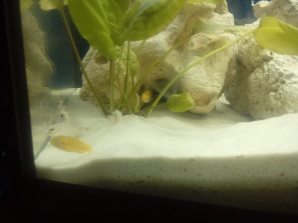 20170321_200244.jpg