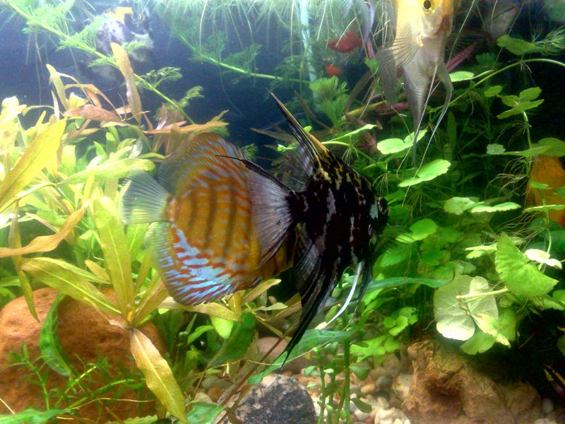 20130130561.jpg