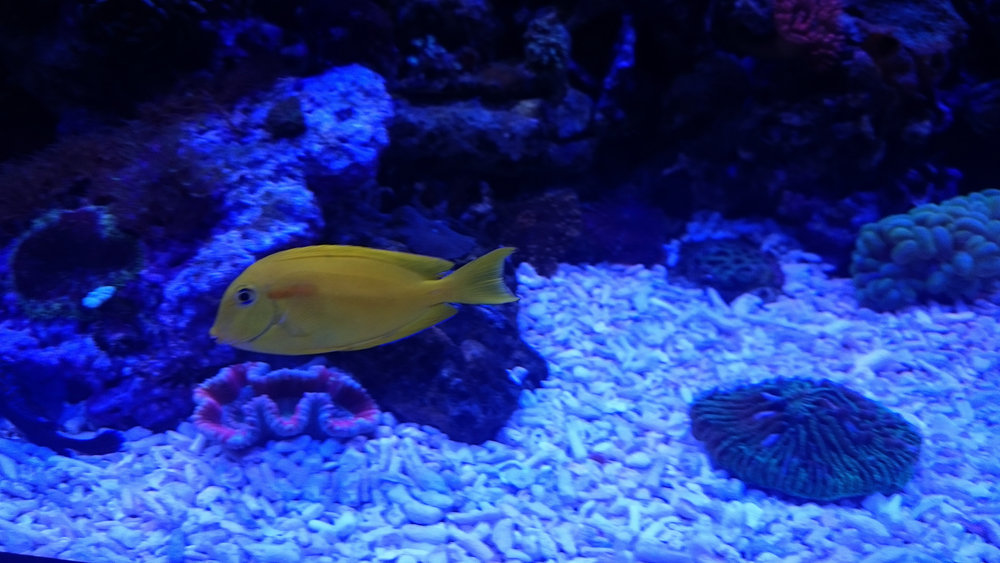 DSC_1549.JPG