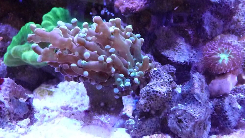 P1110856.JPG