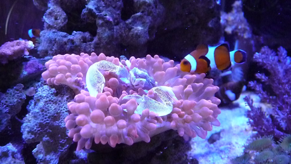 P1110869.JPG