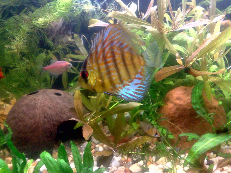 20130130563.jpg