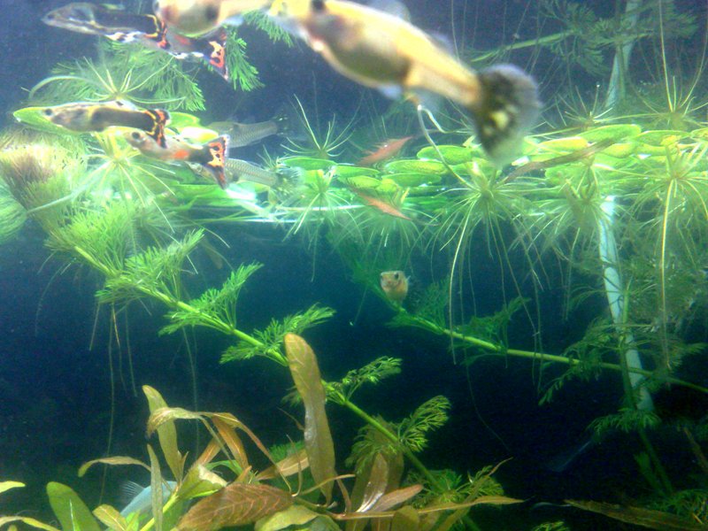 20130130565.jpg