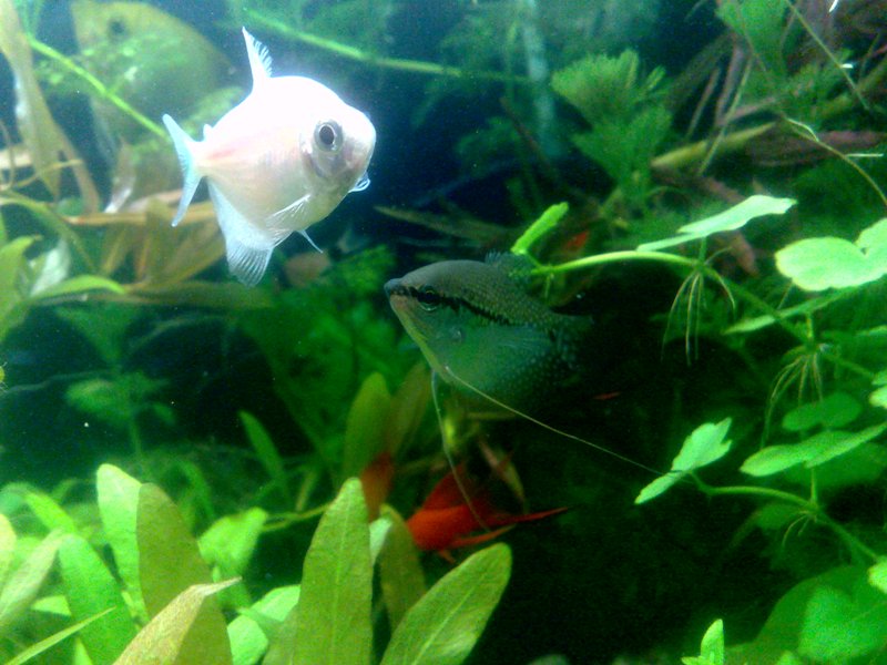 20130130567.jpg
