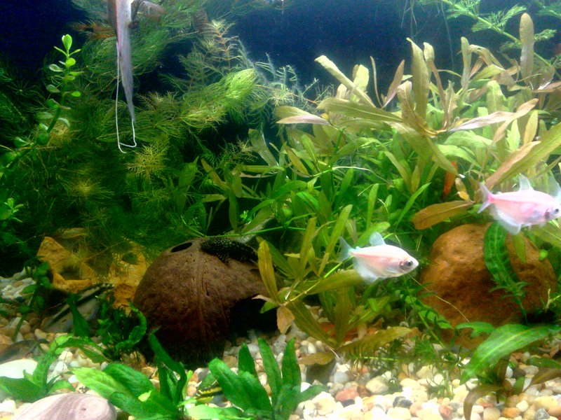 20130130568.jpg