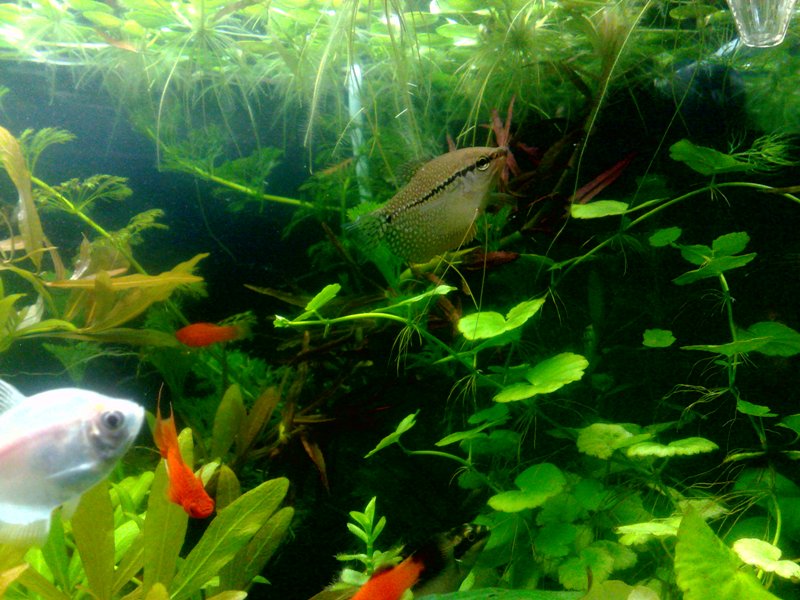 20130130572.jpg
