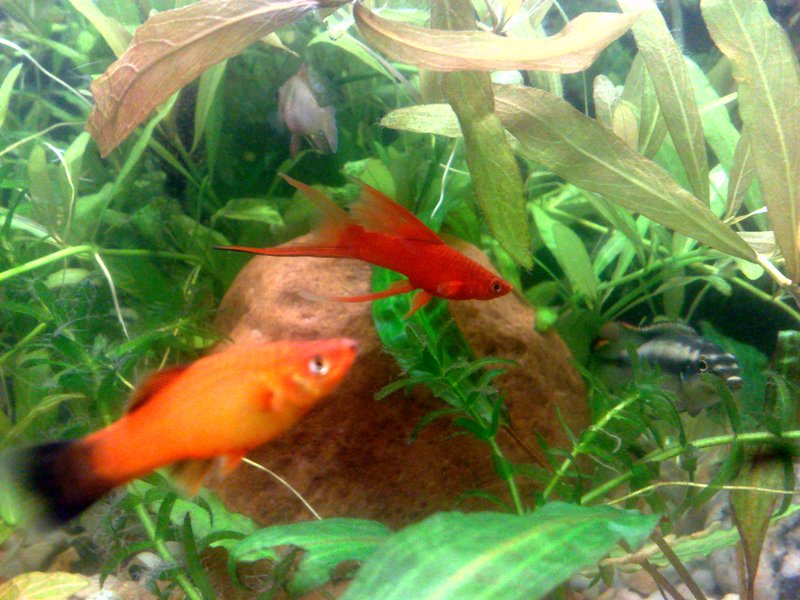 20130130574.jpg