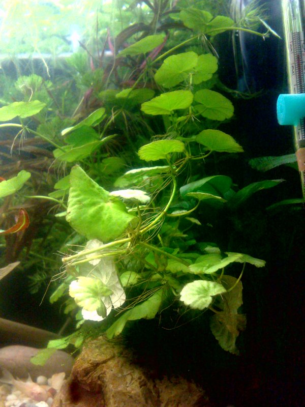 20130130577.jpg