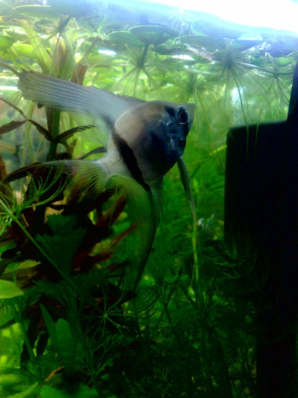 20130130579.jpg