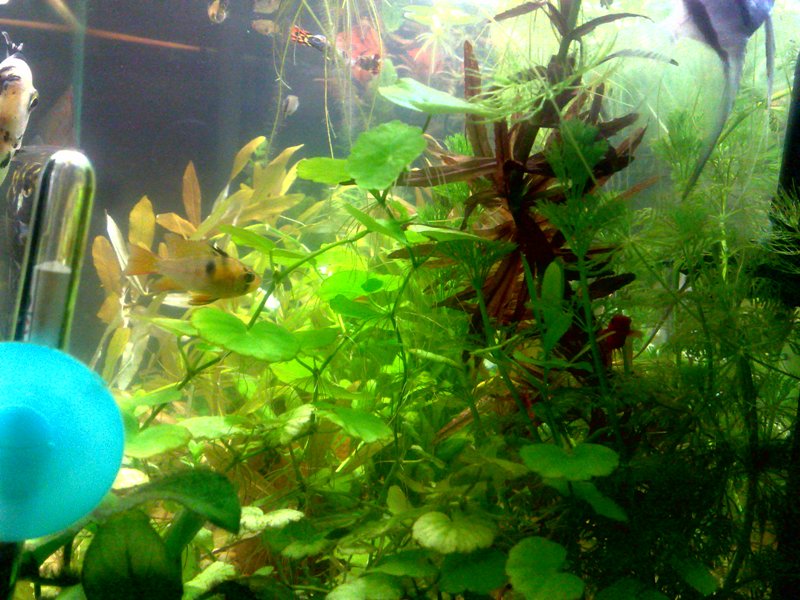 20130130580.jpg