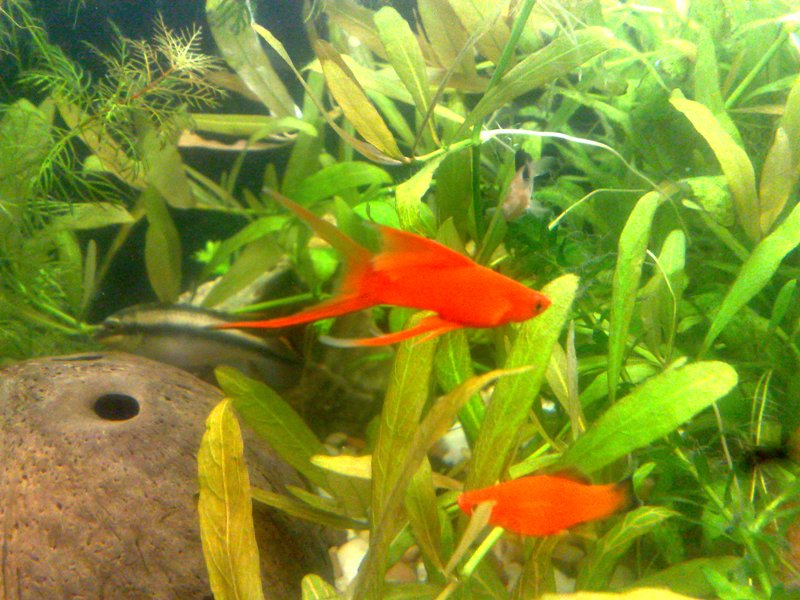 20130130588.jpg
