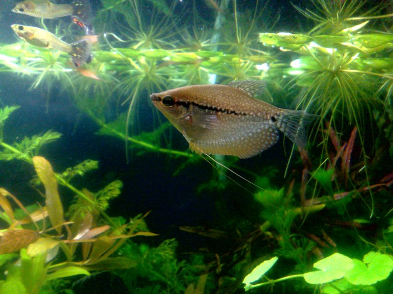 20130130589.jpg