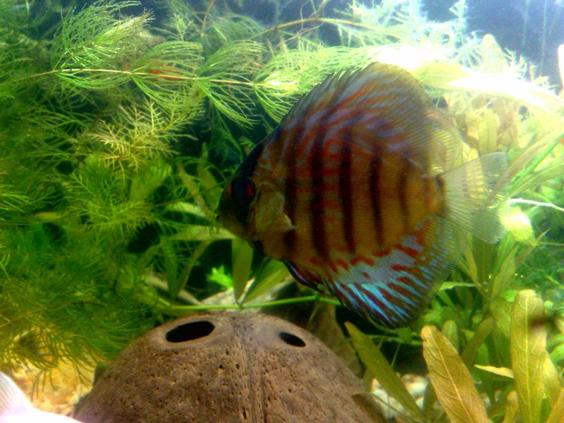 20130130591.jpg