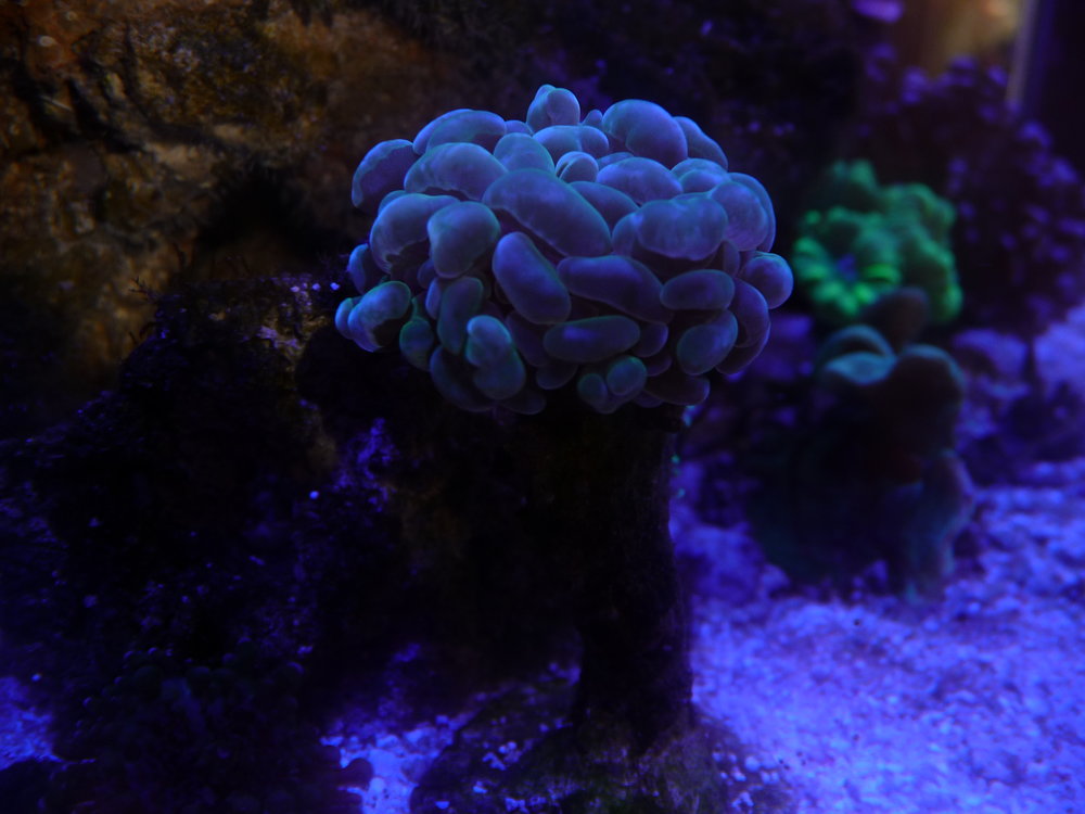 P1120150.JPG