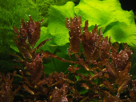 P9100025.JPG