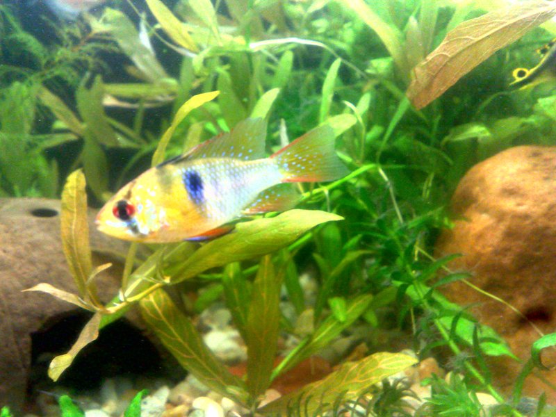 20130130595.jpg