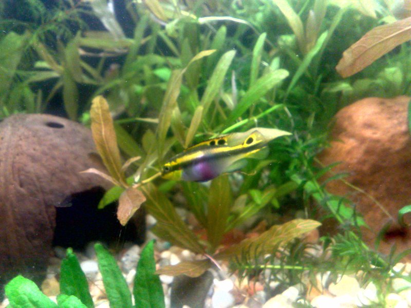 20130130596.jpg