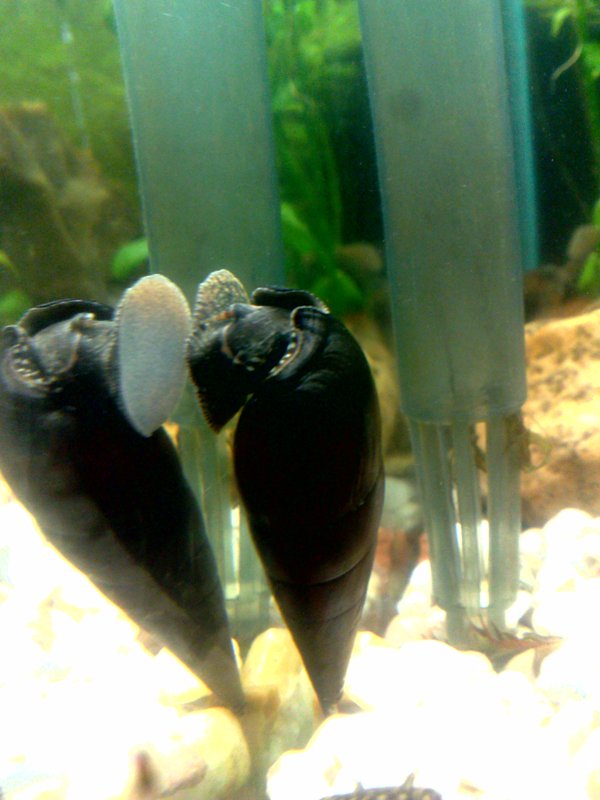 20130130597.jpg