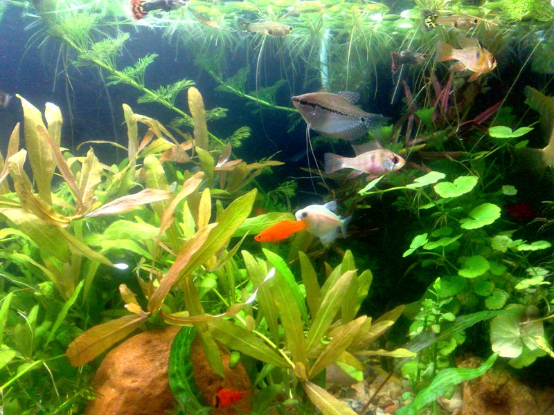 20130130598.jpg