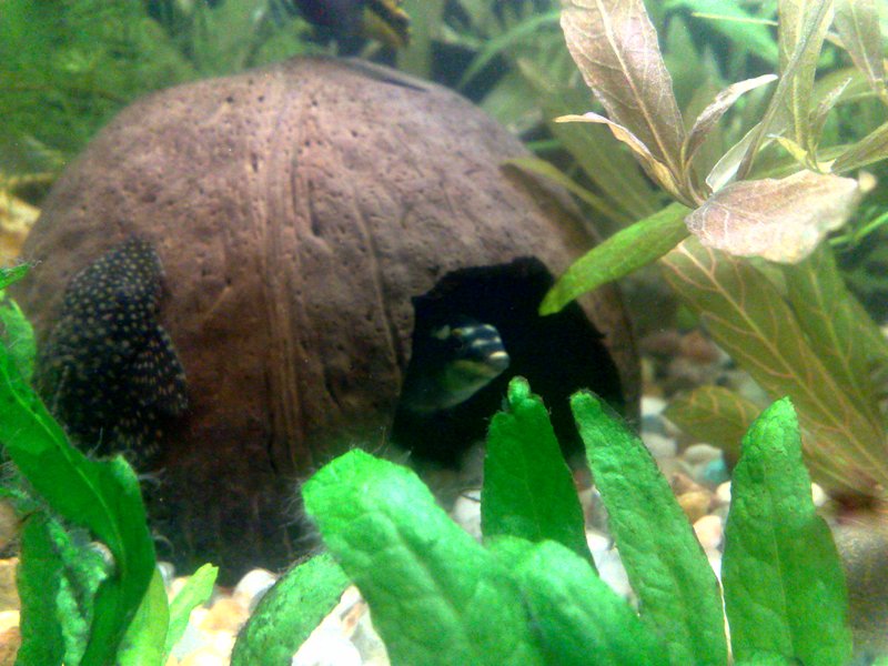 20130130602.jpg