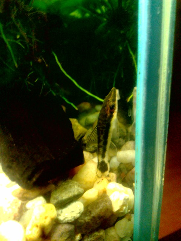 20130130604.jpg