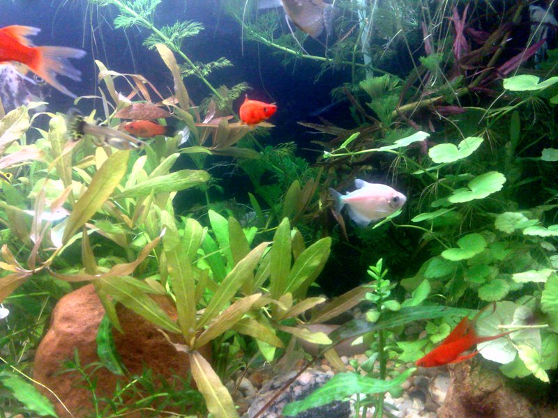 20130130605.jpg