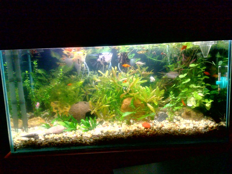 20130130606.jpg