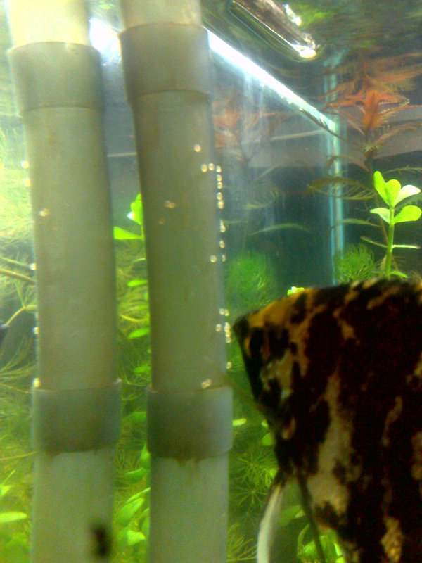 20130131607.jpg