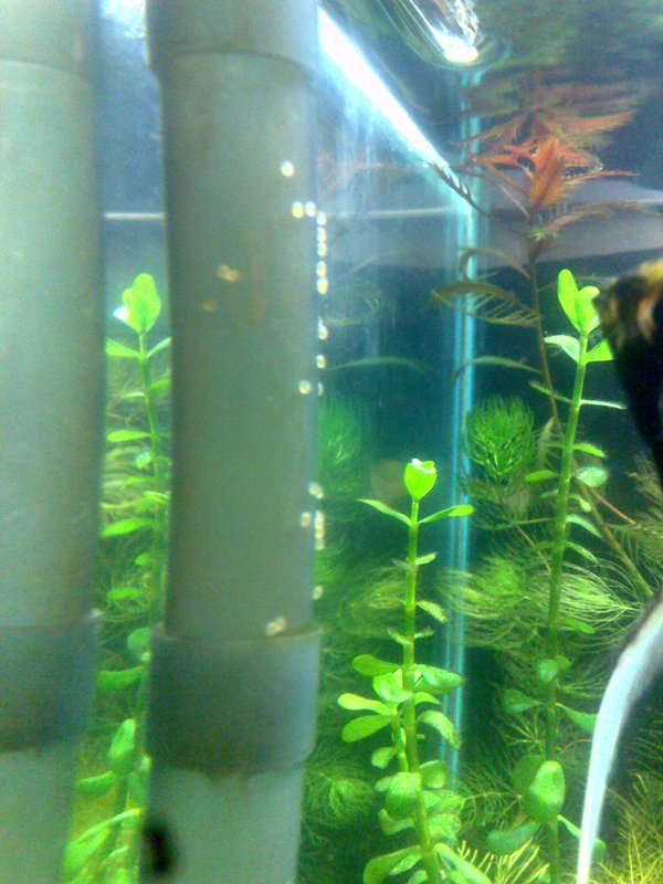 20130131608.jpg