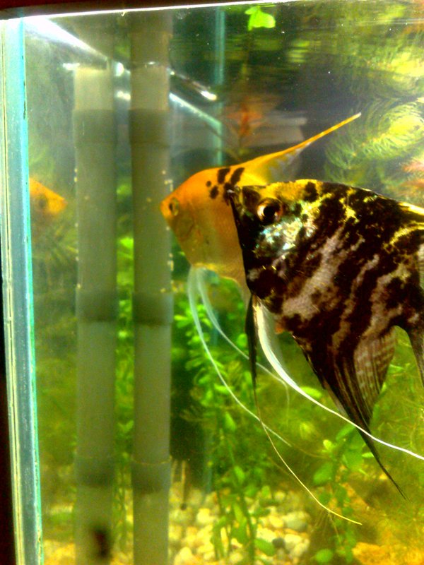 20130131609.jpg