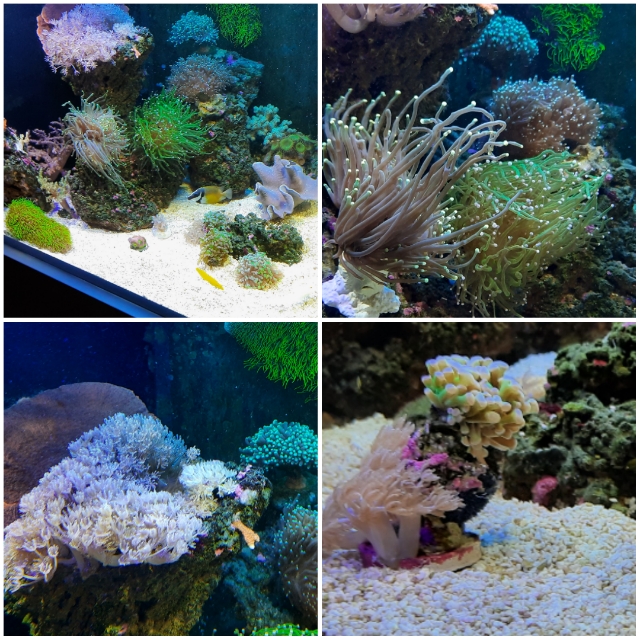 pixlr_20201013183406496.jpg