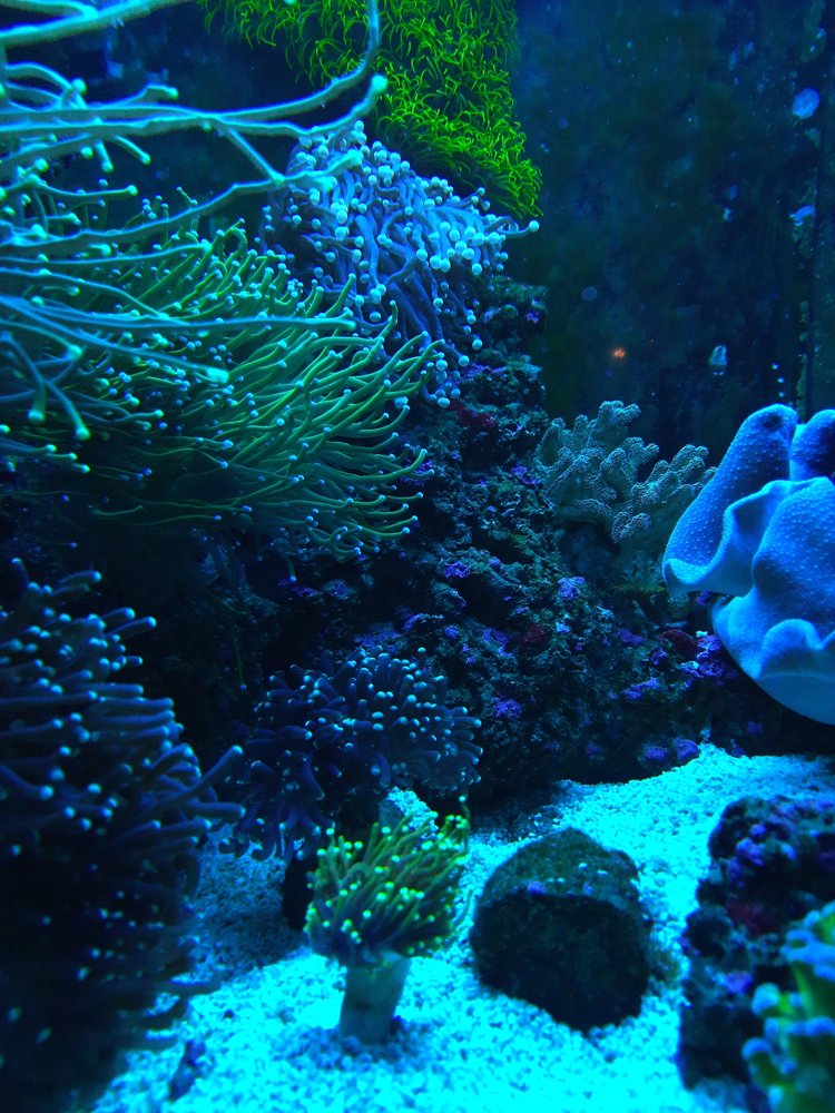 20201123_175912.jpg