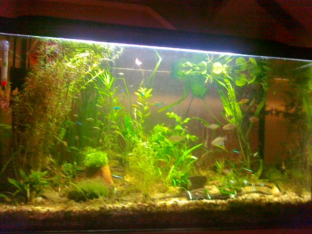 20130217149.jpg