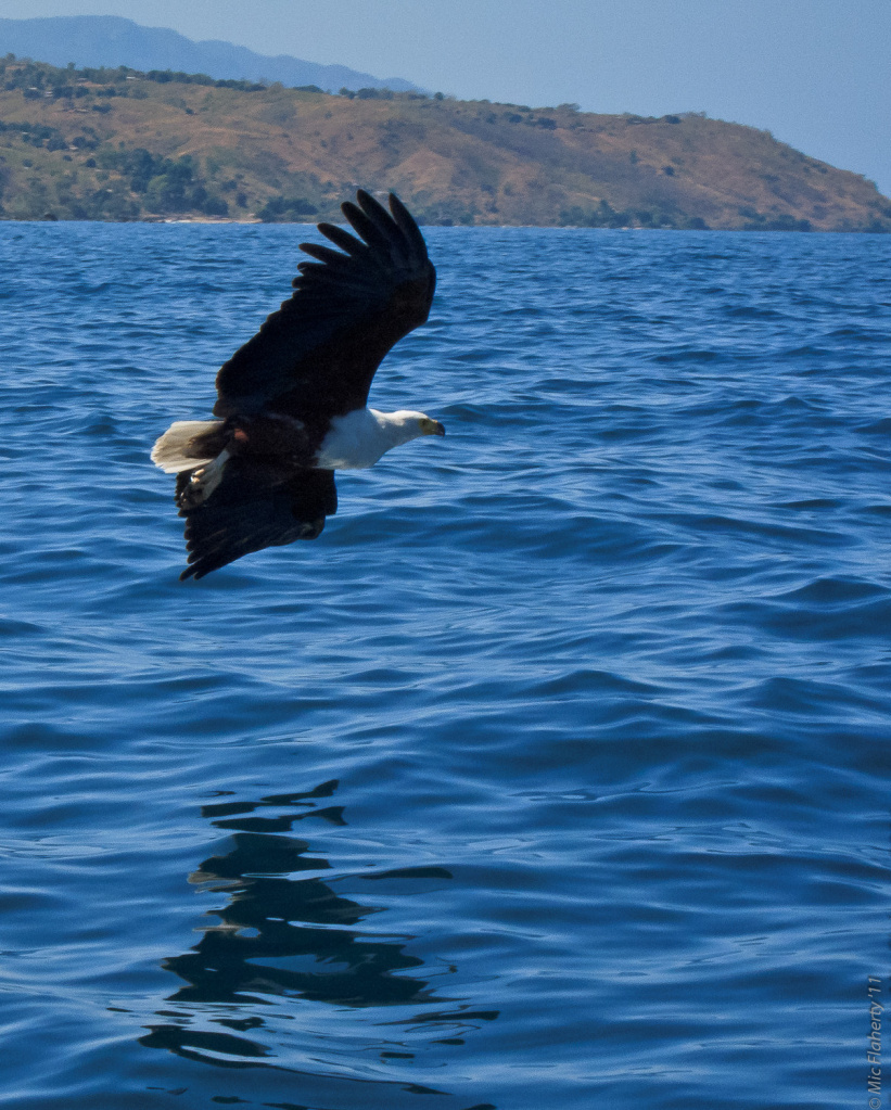 lake_malawi.jpg