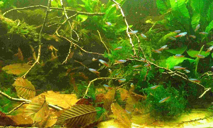 WP_20130302_084.jpg