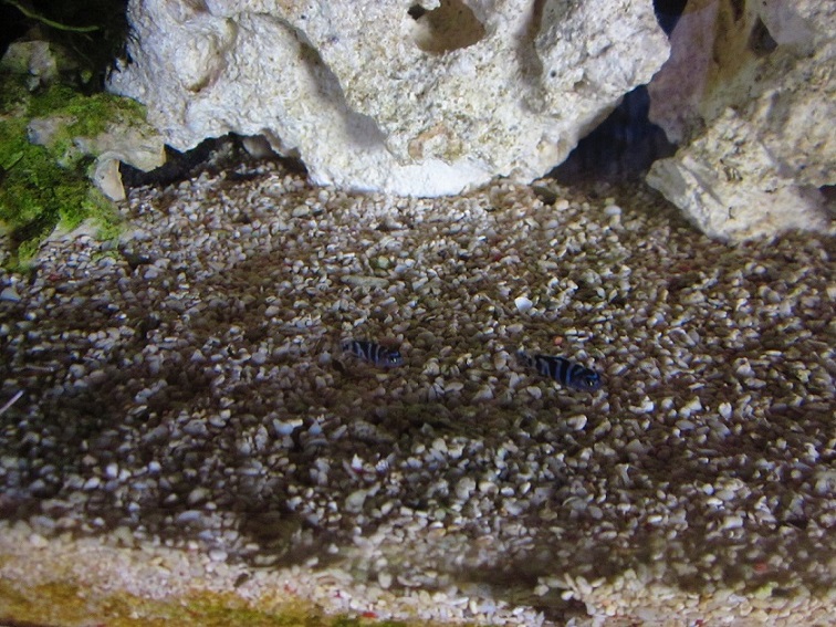 IMG_1707.JPG