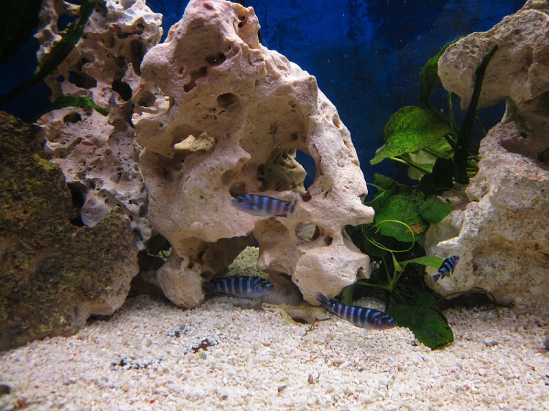 IMG_1776.JPG