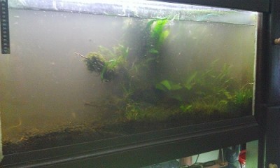 WP_20130520_046.jpg