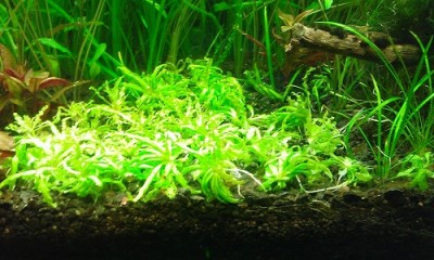 nowy nabytek:)