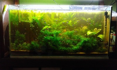 WP_20130520_019.jpg