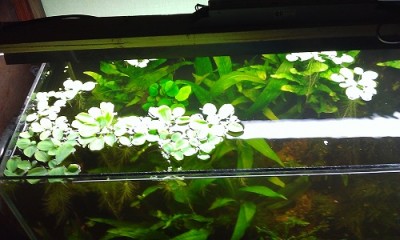 WP_20130522_043.jpg