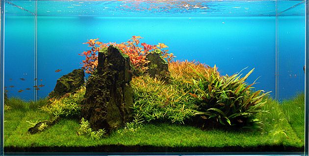IMAG0794 (630x319).jpg