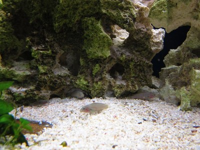 IMG_1889.JPG